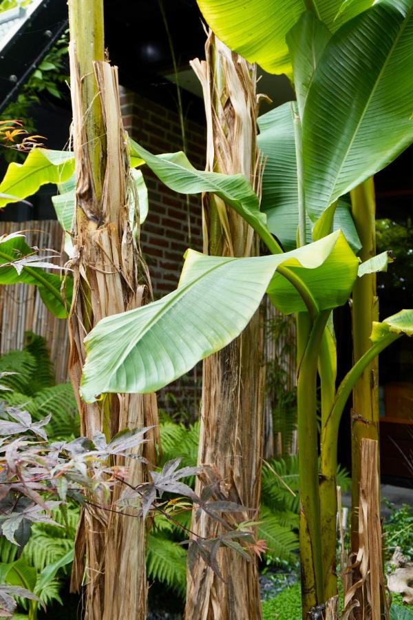 Jungle Stay In A Hidden Paradise Zwijndrecht Ngoại thất bức ảnh