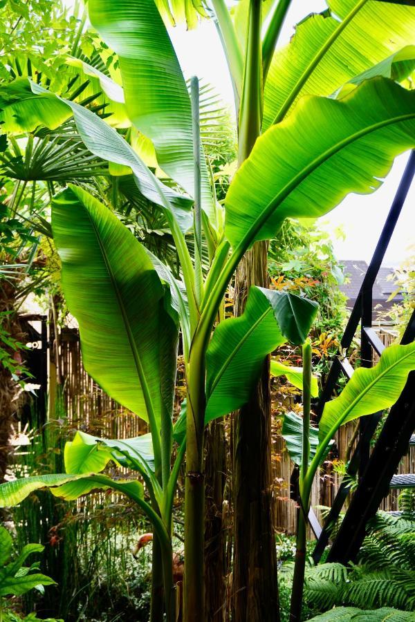Jungle Stay In A Hidden Paradise Zwijndrecht Ngoại thất bức ảnh