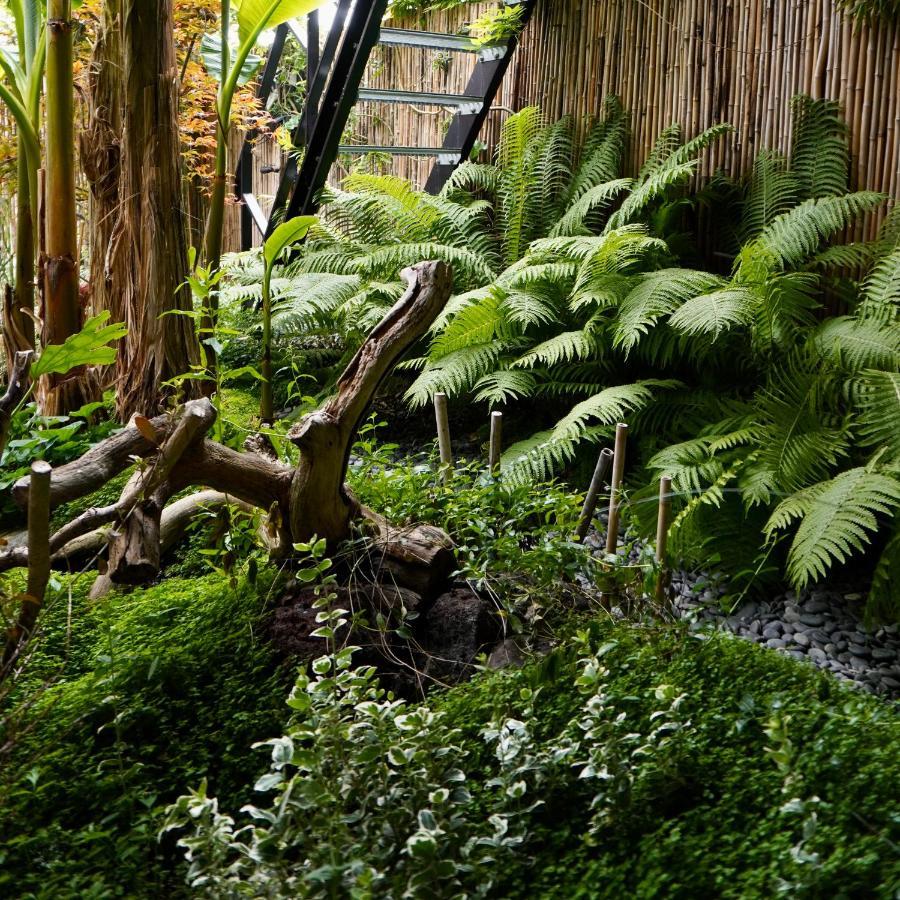 Jungle Stay In A Hidden Paradise Zwijndrecht Ngoại thất bức ảnh