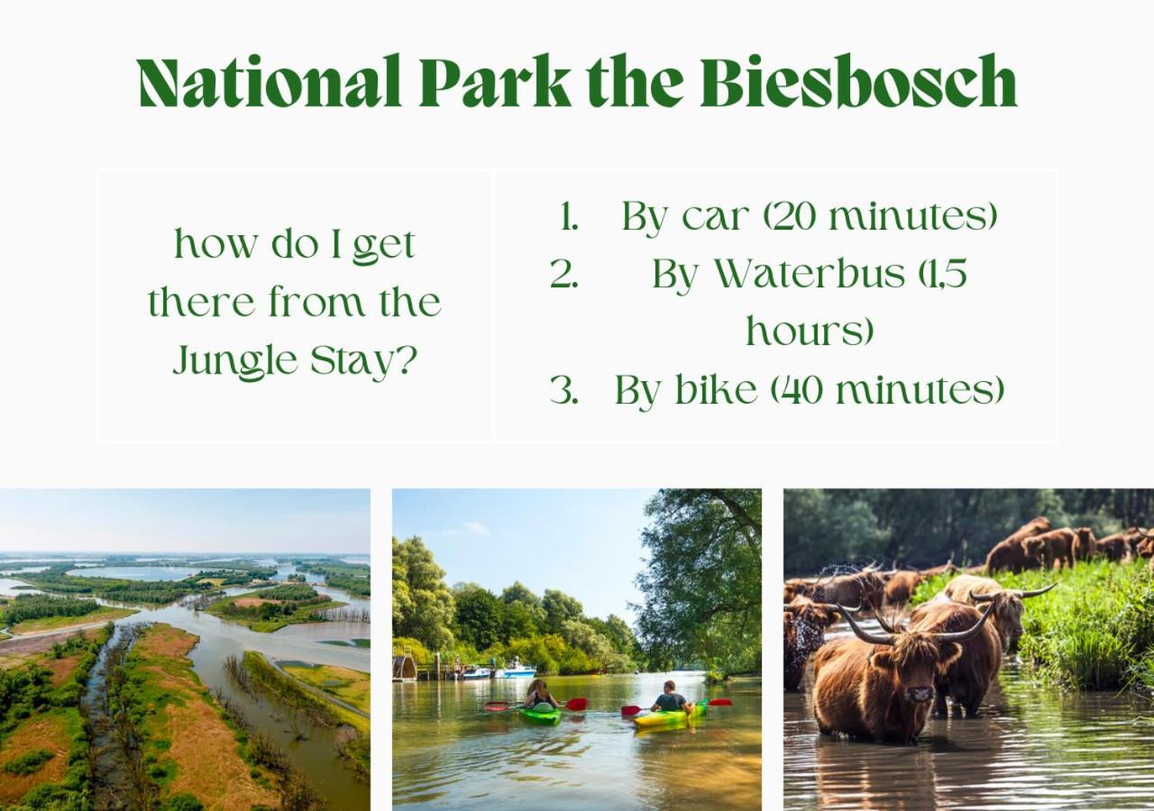 Jungle Stay In A Hidden Paradise Zwijndrecht Ngoại thất bức ảnh